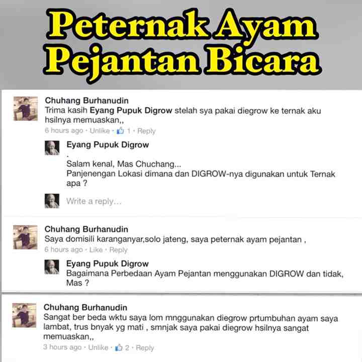 Cara Aplikasi DIGROW Untuk Ayam - Testimoni Peternak Ayam DIGROW (10)