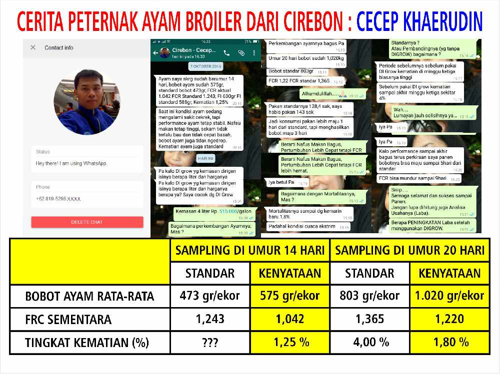 Cara Aplikasi DIGROW Untuk Ayam - Testimoni Peternak Ayam DIGROW (14)