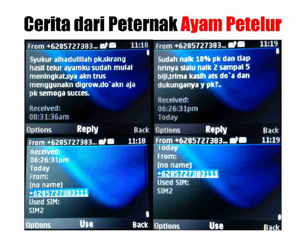 Cara Aplikasi DIGROW Untuk Ayam - Testimoni Peternak Ayam DIGROW (4)