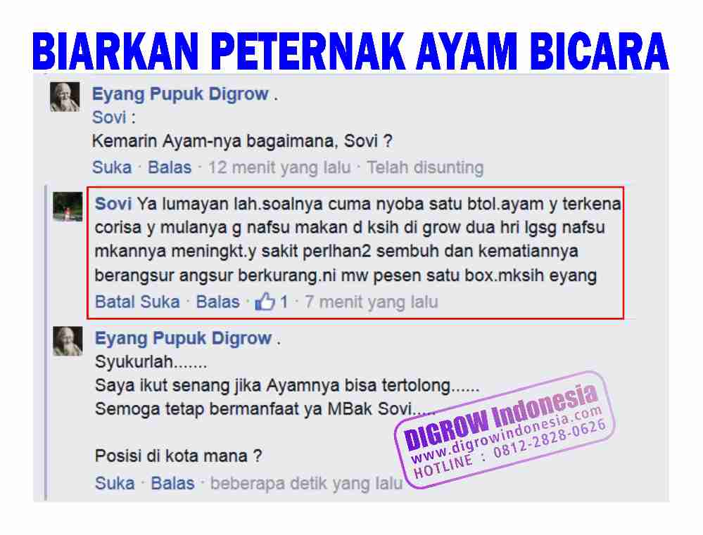 Cara Aplikasi DIGROW Untuk Ayam - Testimoni Peternak Ayam DIGROW (3)