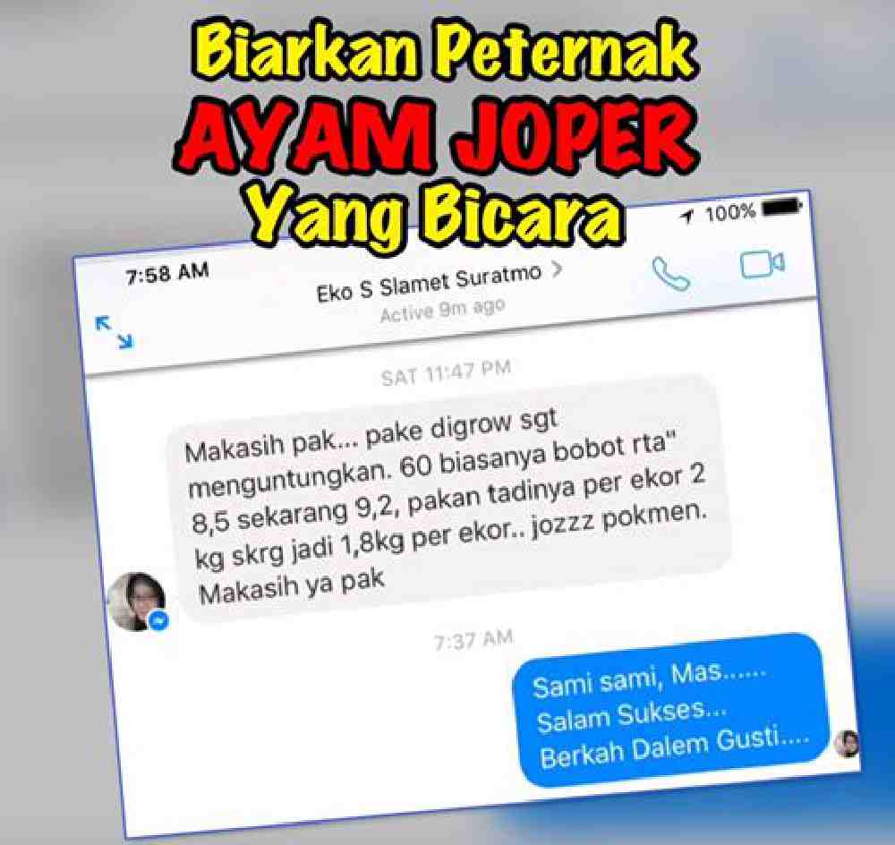 Cara Aplikasi DIGROW Untuk Ayam - Testimoni Peternak Ayam DIGROW (8)
